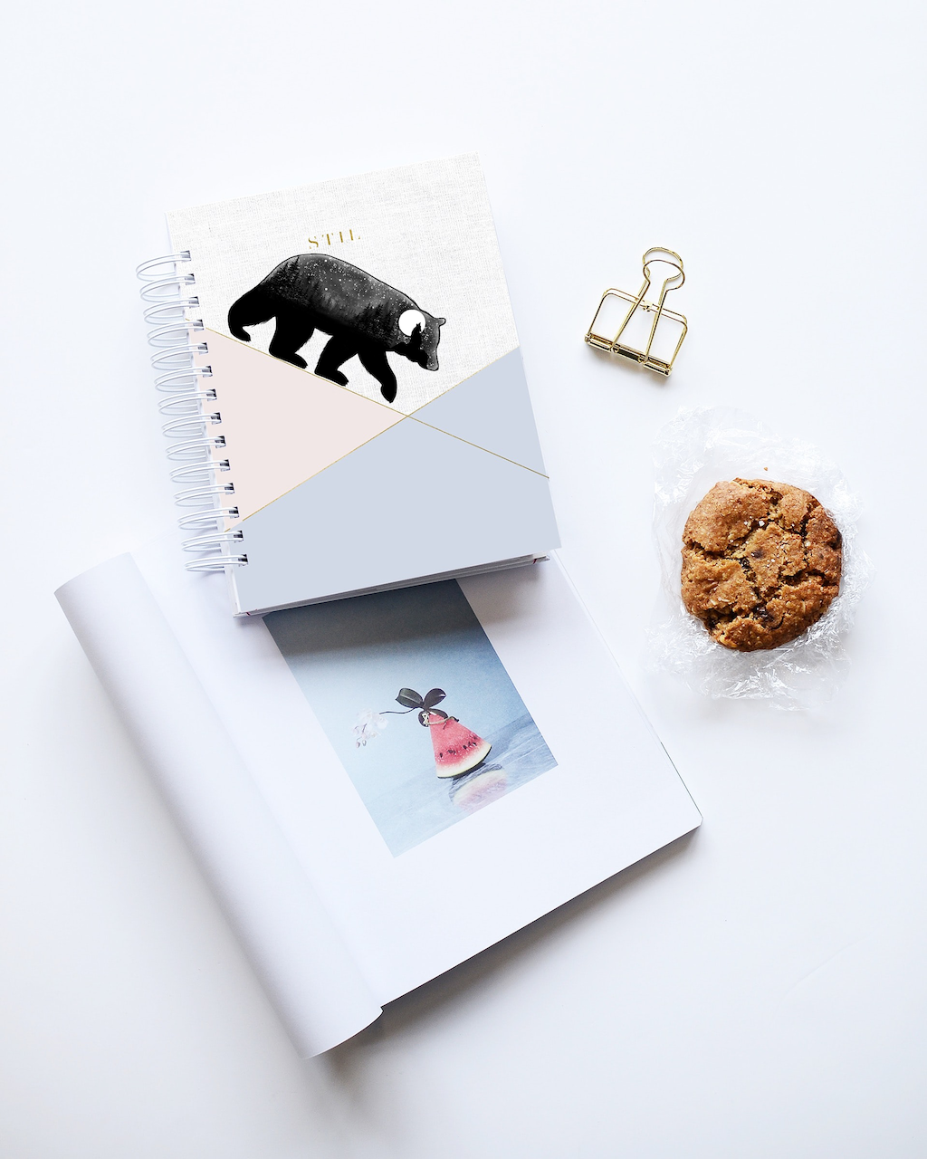 Bear Art