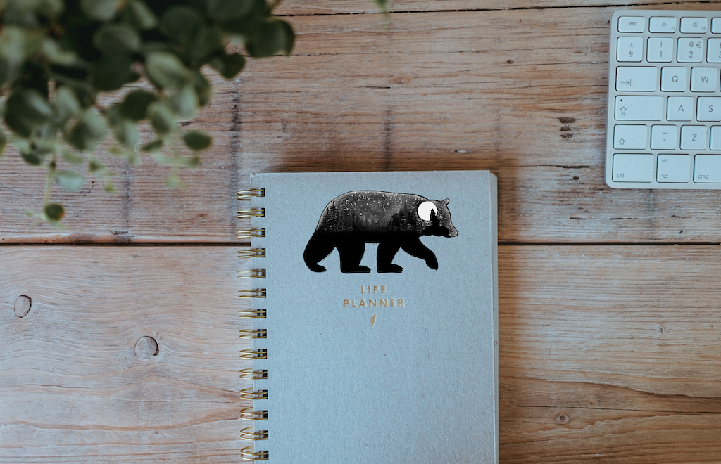 Bear Art