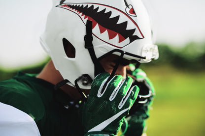 P40 Warhawk Shark Tiger (2 Pack)