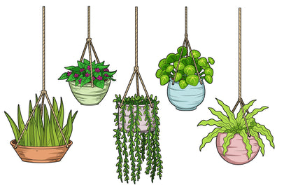 Plant Stickers (5 Pack)