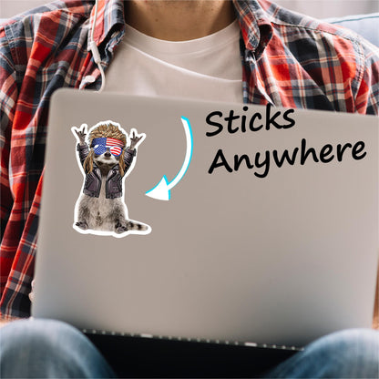 Rocking Raccoon Mullet