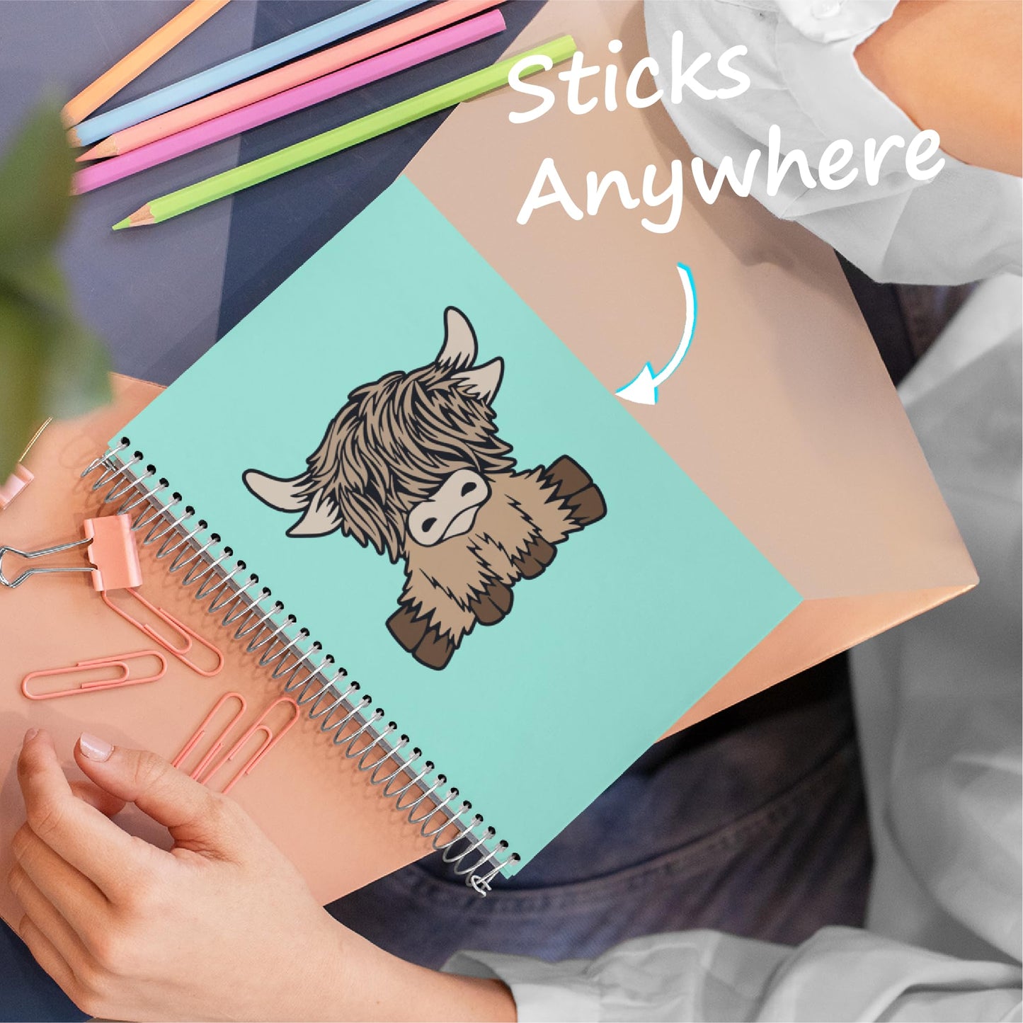 Highland Cow (2 Pack)