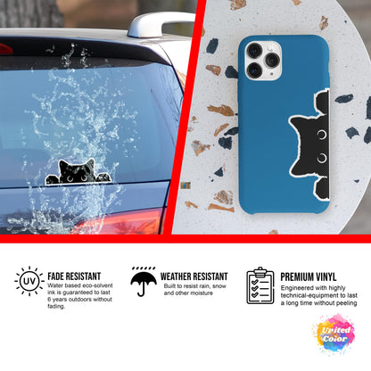 Peeking Cat (2 Pack)