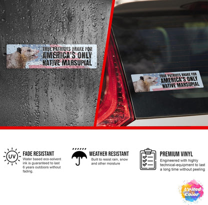 Possum Sticker