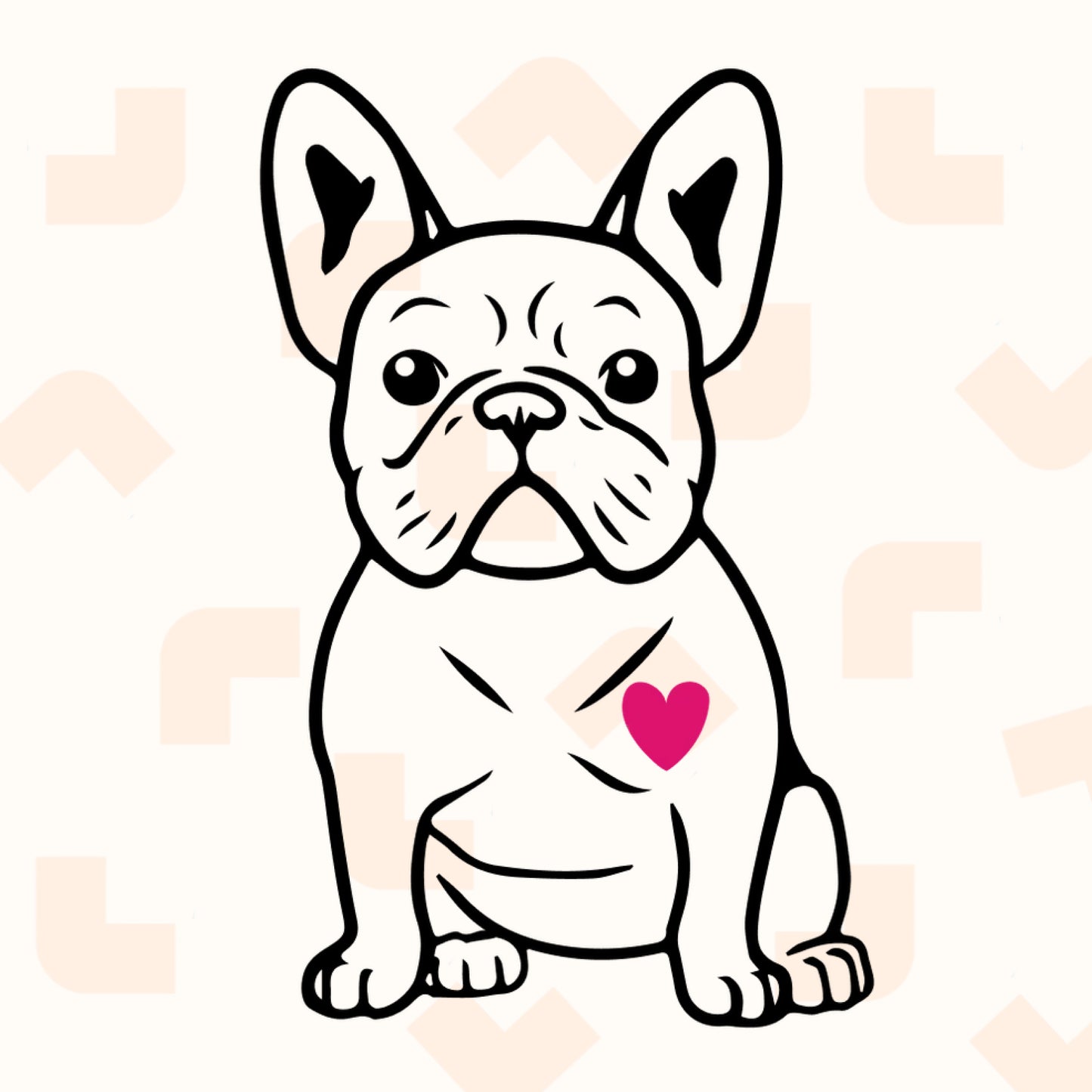 French bulldog