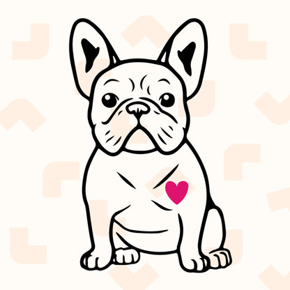 French bulldog