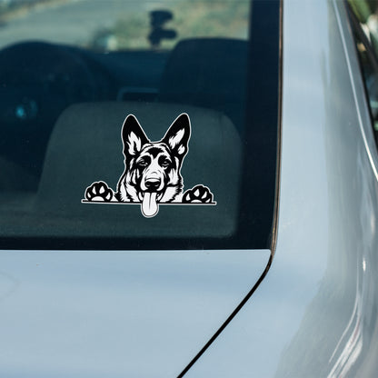 German Shepherd